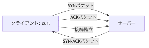 クライアント（curl）がサーバーにTCP接続要求のやりとりイメージ