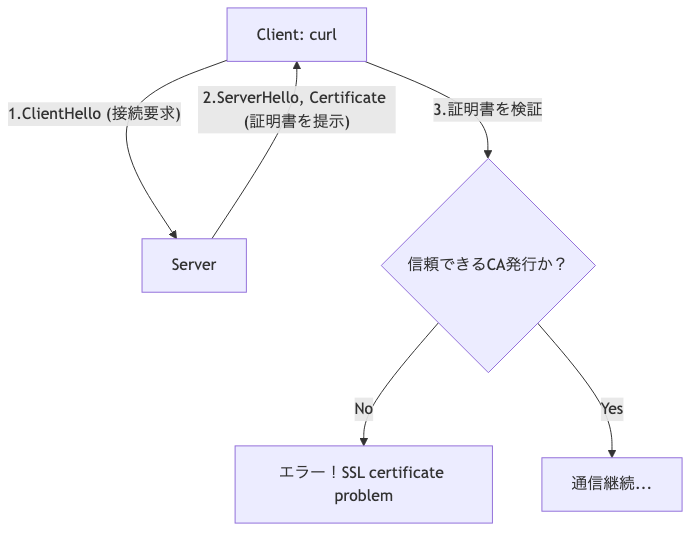 クライアント（curl）との証明書ののやりとりイメージ